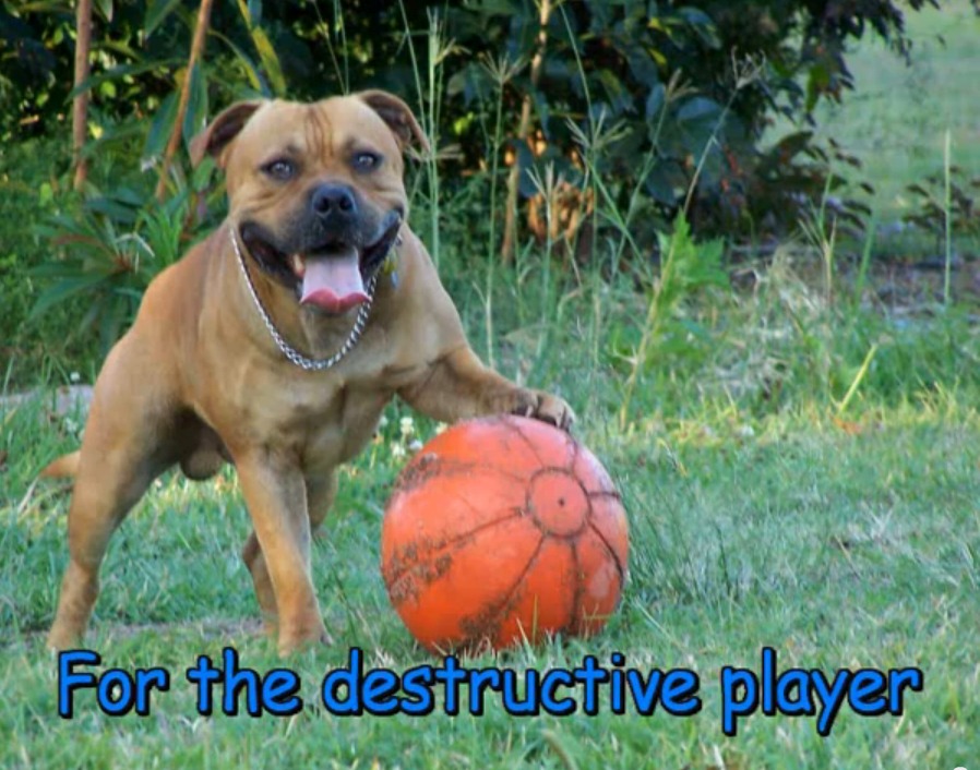 STAFFIE BALL AUSSIE DOG TOY ULTIMATE HARD WEARING BALL FOR DOGS