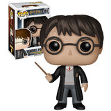 Funko POP! Harry Potter #01 Harry Potter New Mint Condition