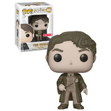 Funko POP! Harry Potter #60 Tom Riddle (Sepia) - USA Target Import - New, Mint Condition