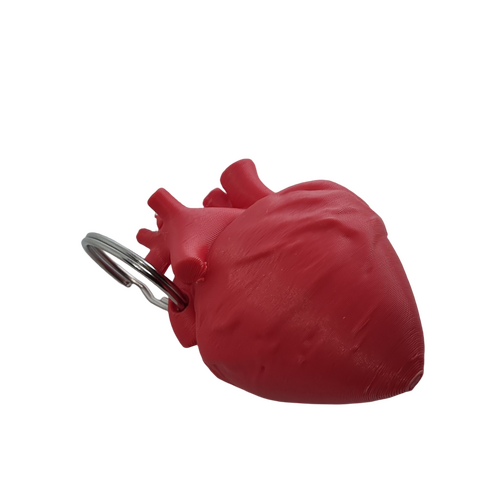 Supportive Solutions 3D Printed Heart Health Bag Charm Keychain - One Size - New, Handmade [Colour:Matte Red]